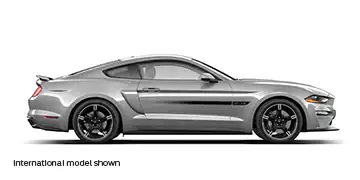 Mustang